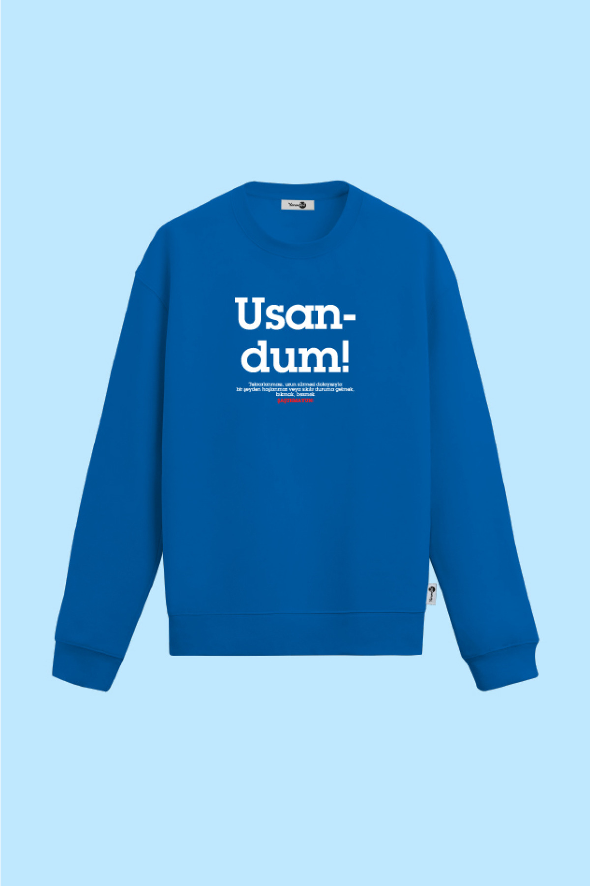Usandum Sweatshirt Mavi