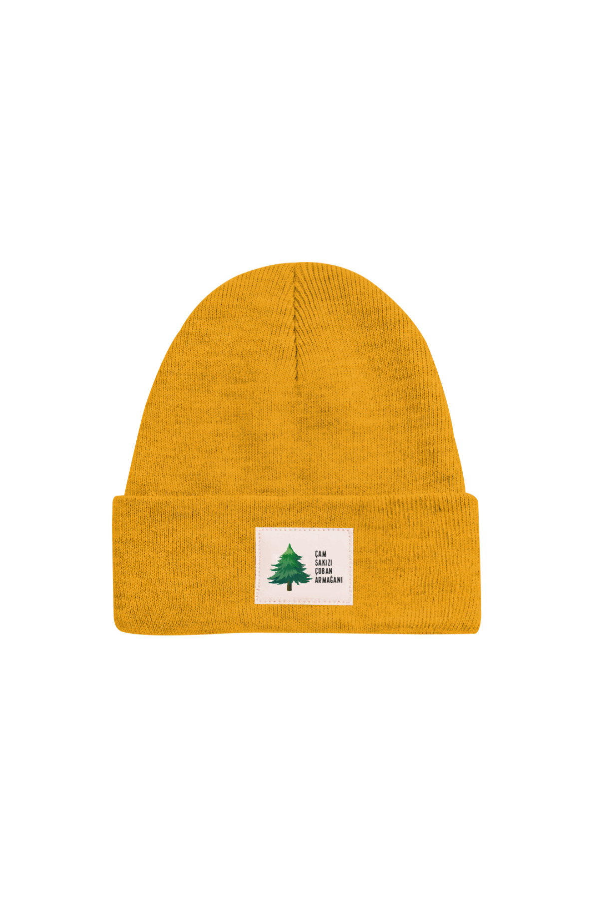 Çam Ağacı Bere Sarı