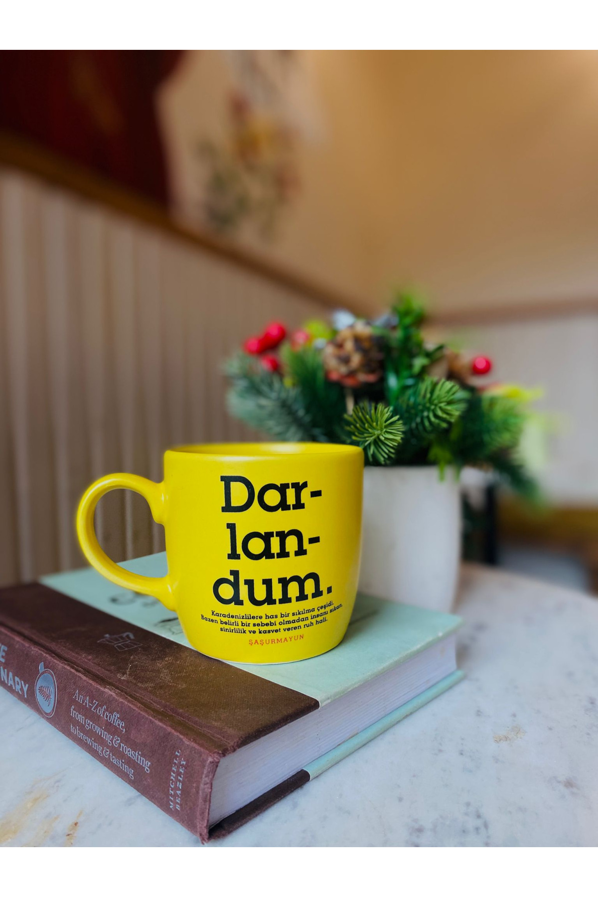 Darlandum Sarı Bulut Kupa 